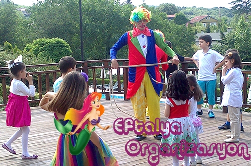 palyaco__palyaco_808530186